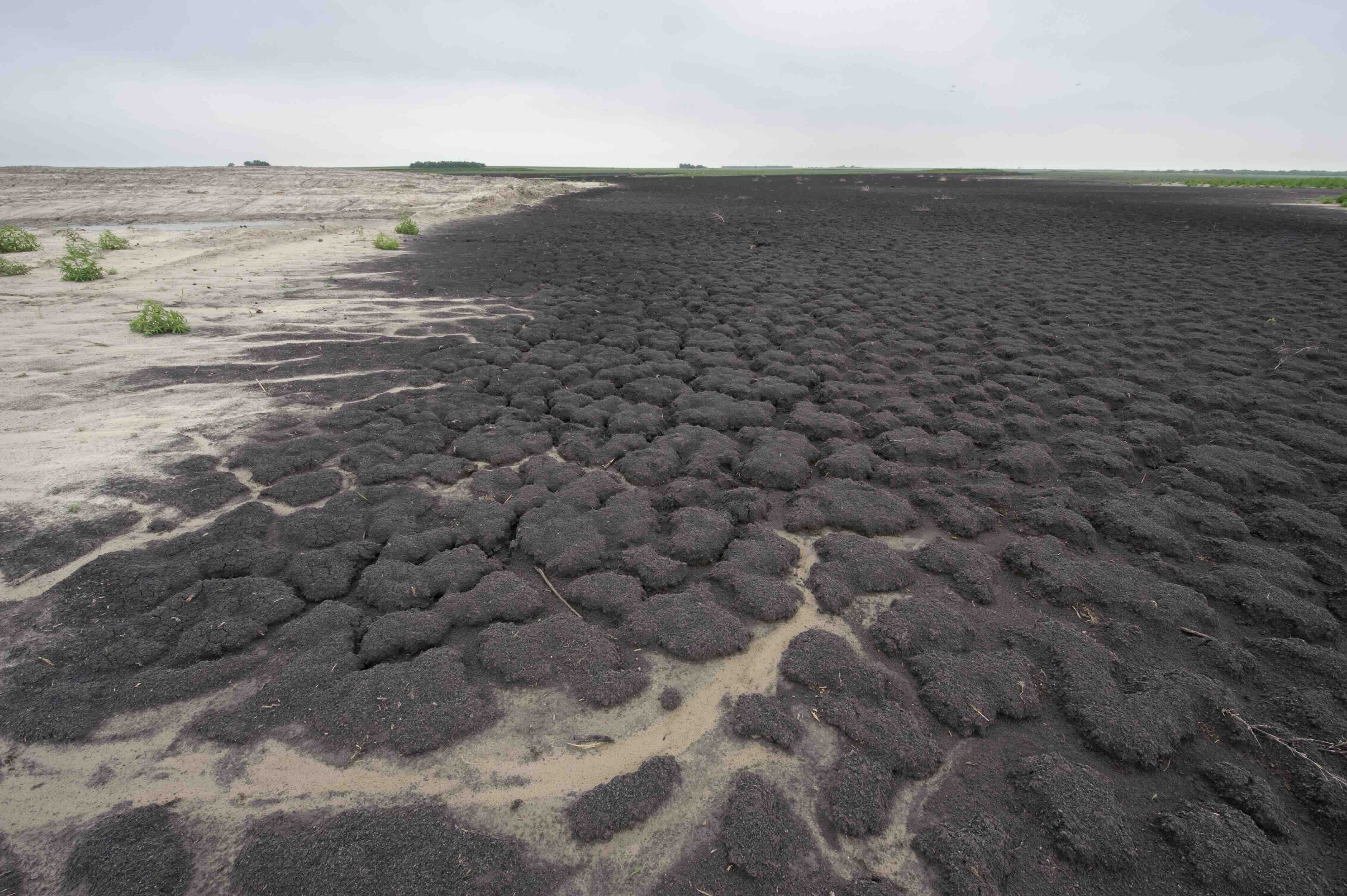 USDA NRCS Texas